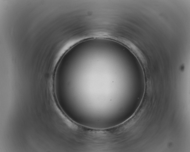 X0000096721432200802121238