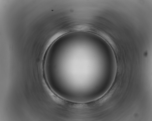 X0000096721434200802121238