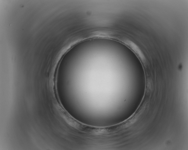 X0000096721435200802121238