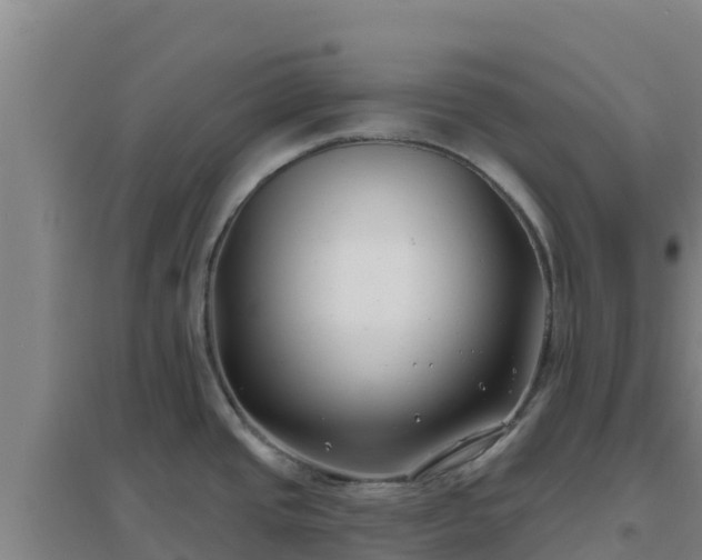 X0000096721437200802121238