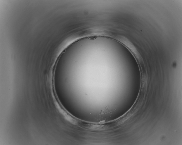X0000096721439200802121238