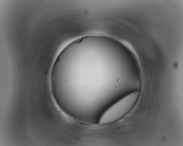 X0000096721440200802121238