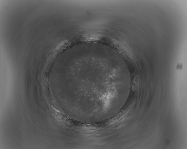 X0000096721441200802121237