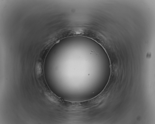 X0000096721442200802121237