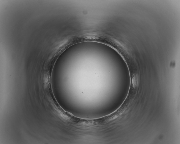 X0000096721444200802121237