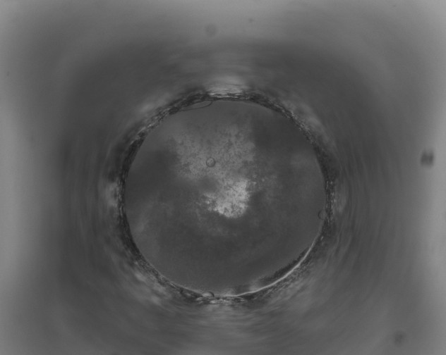 X0000096721445200802121237