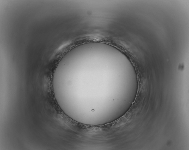 X0000096721446200802121237