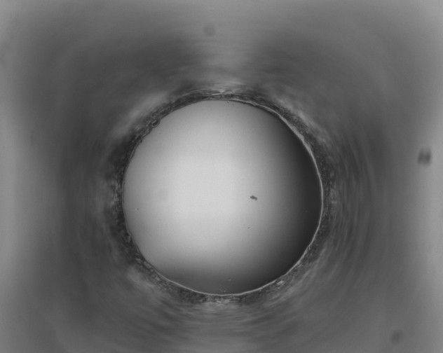 X0000096721447200802121237