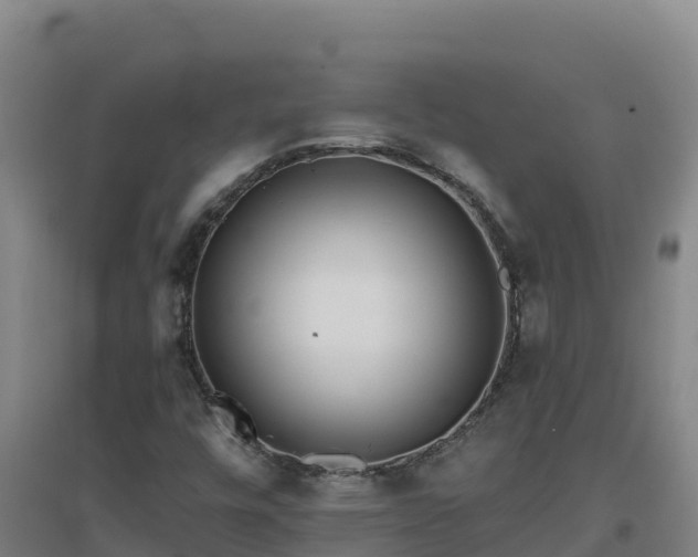 X0000096721448200802121237