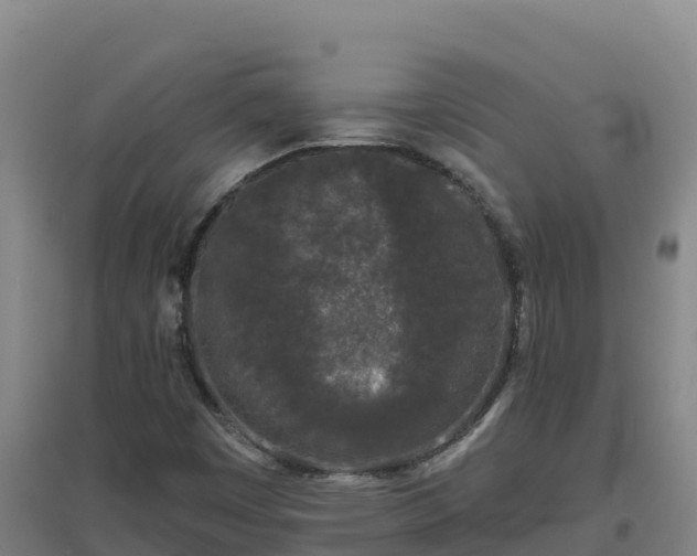 X0000096721449200802121237