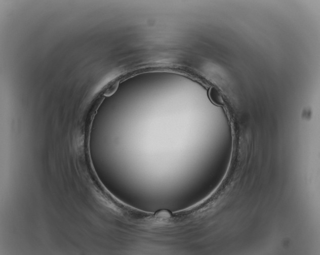 X0000096721450200802121237