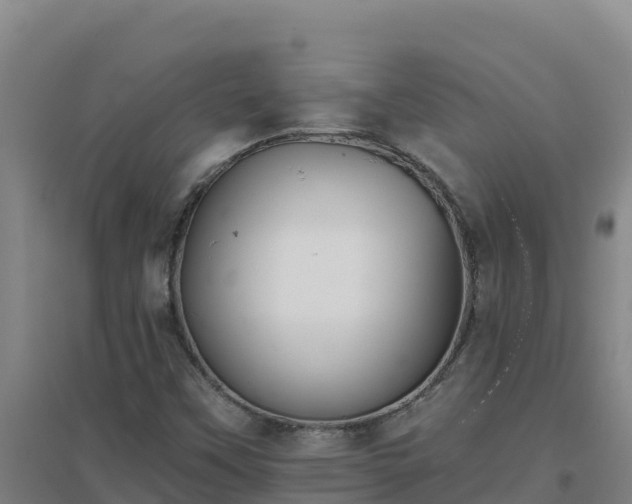 X0000096721451200802121237