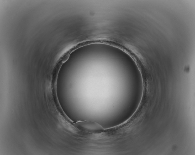 X0000096721452200802121237