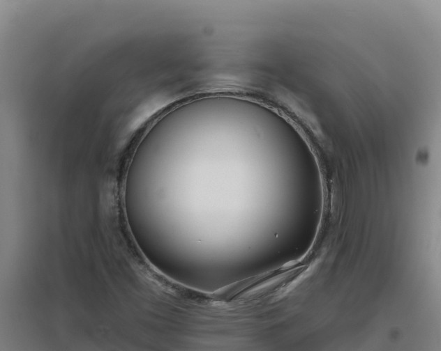 X0000096721453200802121237