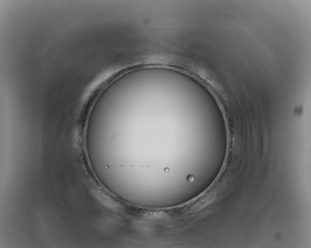 X0000096721454200802121237