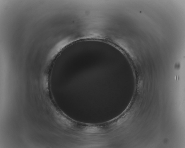 X0000096721455200802121237