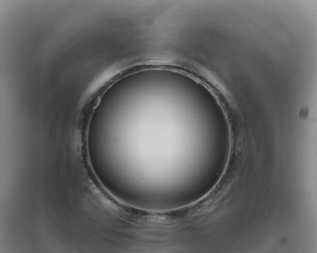 X0000096721456200802121237