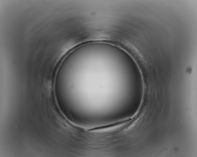 X0000096721457200802121237
