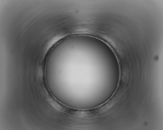 X0000096721458200802121237