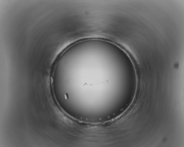 X0000096721460200802121237