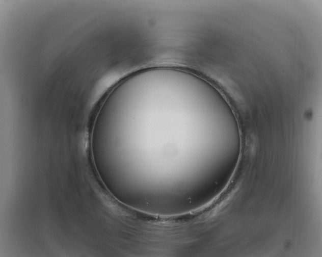 X0000096721461200802121237