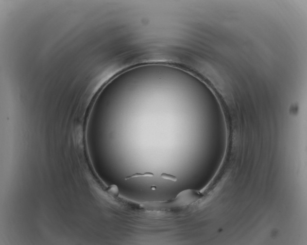 X0000096721465200802121237