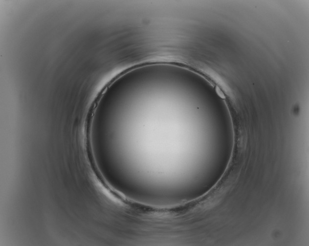 X0000096721468200802121237