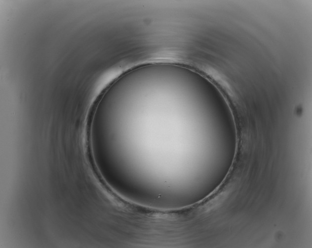 X0000096721469200802121237