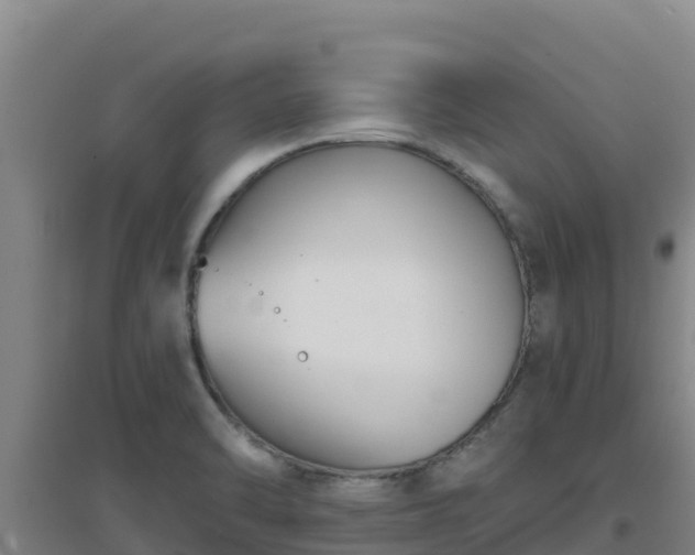 X0000096721470200802121237