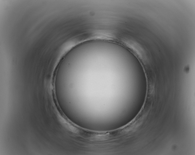 X0000096721471200802121237
