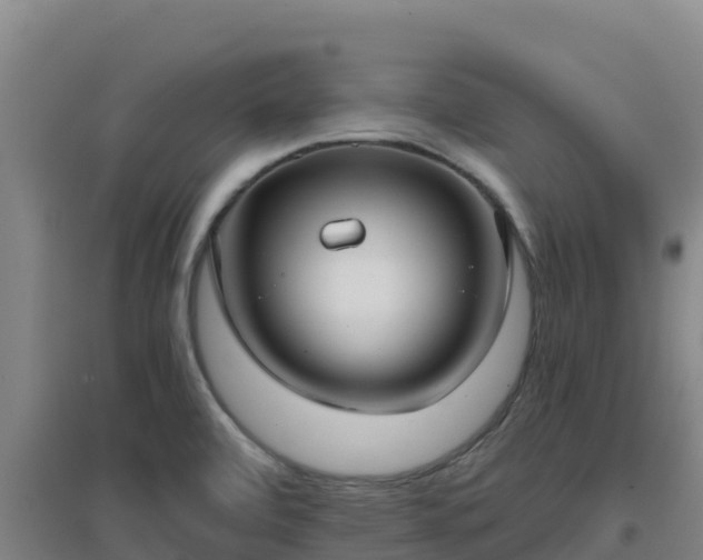X0000096721472200802121237
