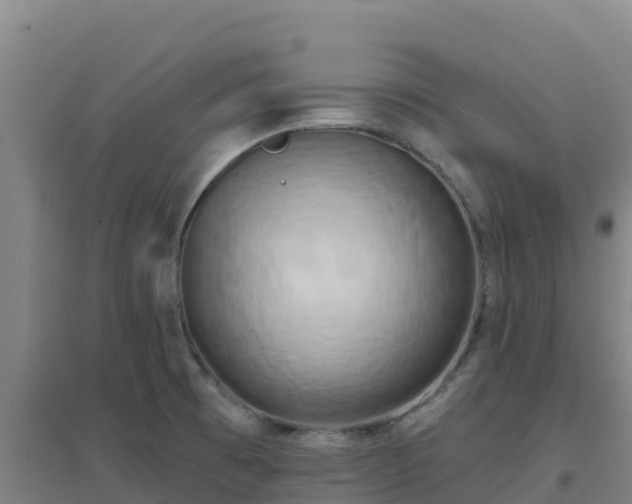 X0000096721473200802121237