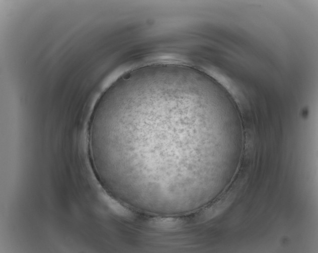 X0000096721474200802121237