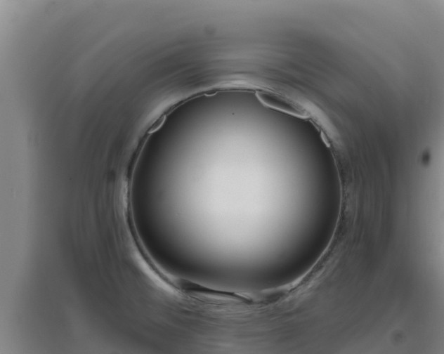 X0000096721476200802121237