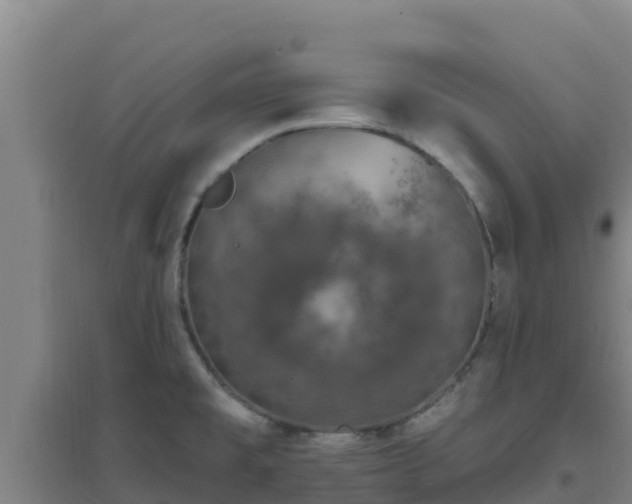 X0000096721477200802121237