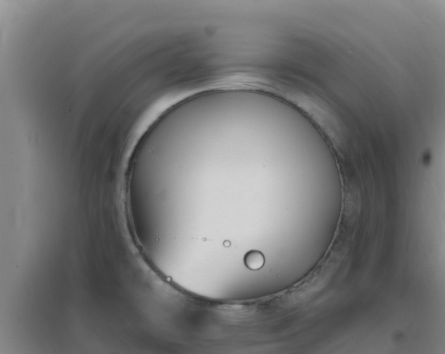 X0000096721478200802121237
