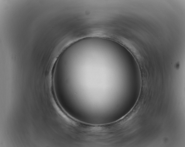 X0000096721479200802121237
