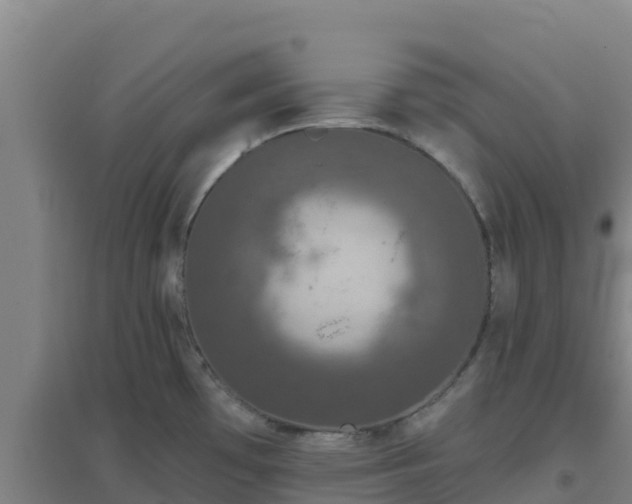 X0000096721481200802121237