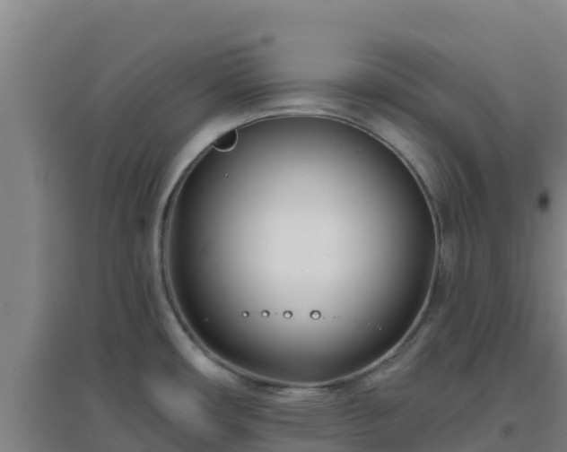 X0000096721482200802121237