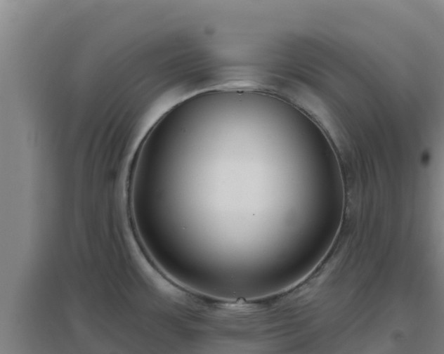X0000096721483200802121237