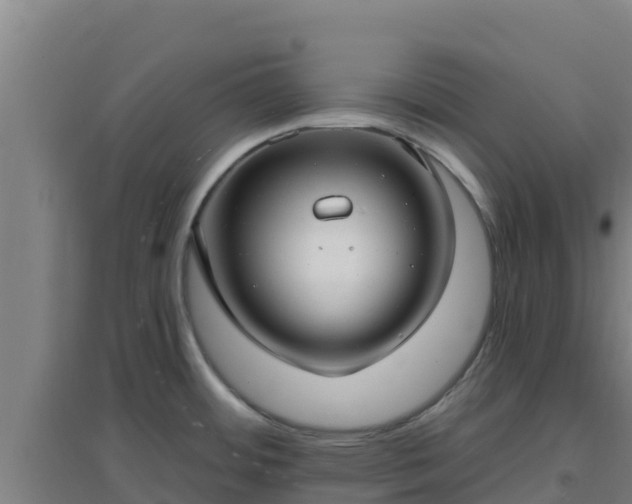 X0000096721484200802121237