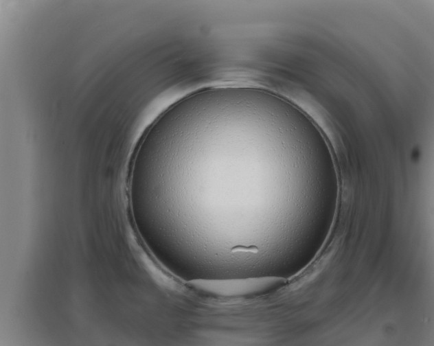 X0000096721485200802121237