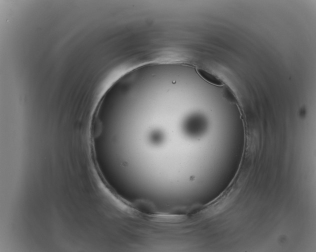 X0000096721487200802121237