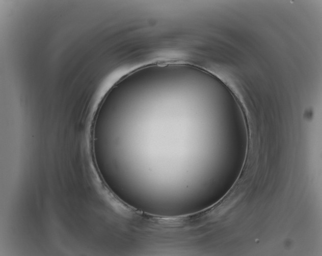 X0000096721488200802121236
