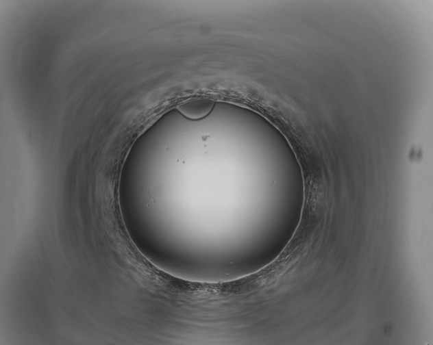 X0000096721489200802121236