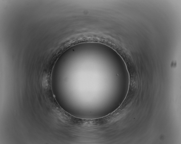 X0000096721490200802121236