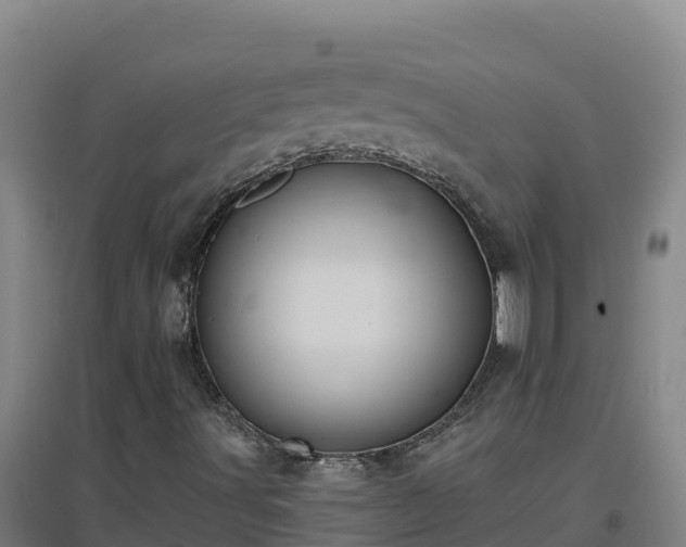 X0000096721491200802121236