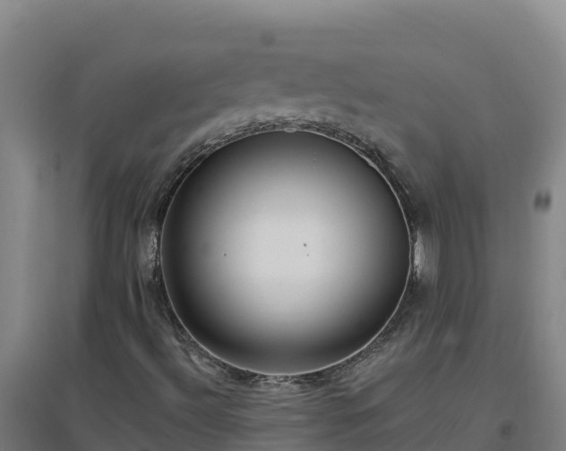 X0000096721492200802121236