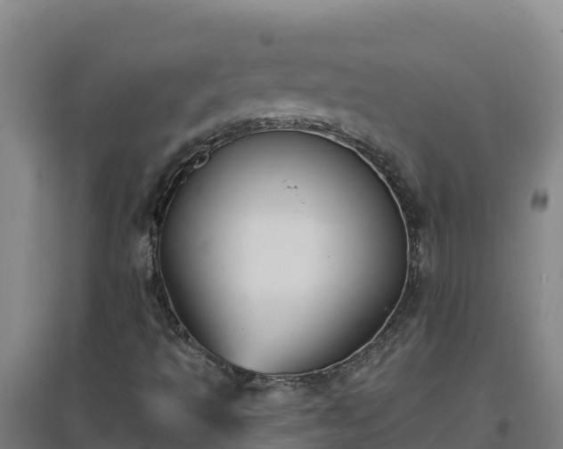 X0000096721493200802121236