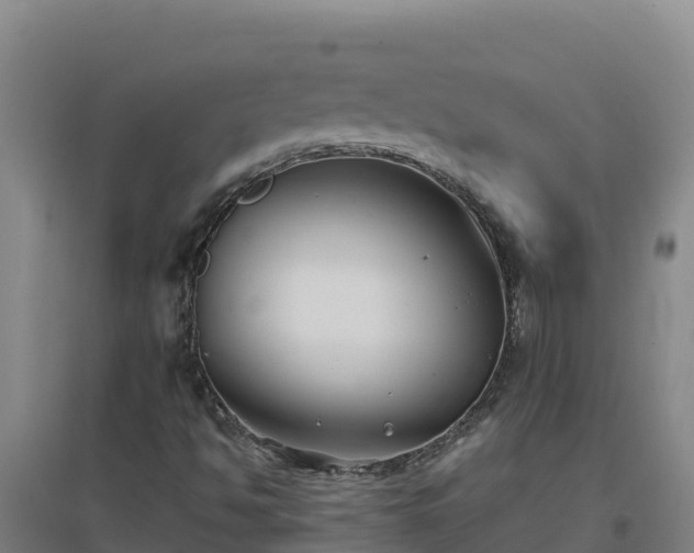X0000096721494200802121236